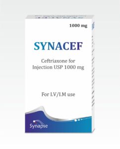 SYNACEF MOCKUP
