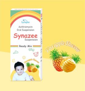Synazee MOCKUP 3[4]